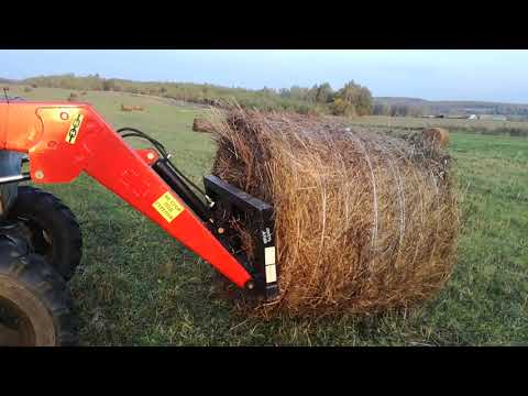 Видео: КФХ Латынино. т40 с погрузчиком Фаворит 800