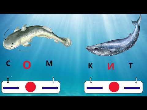 Видео: Розвиток мовлення (Грамота). Голосні звуки. 