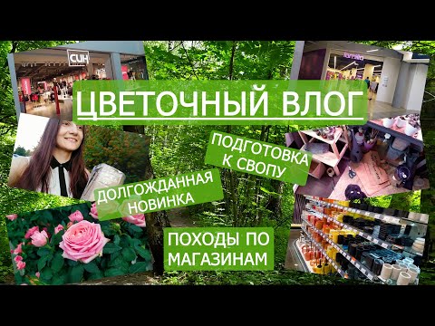 Видео: Цветочный ВЛОГ. Магазины. Новинки. И закадровая жизнь))