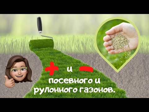 Видео: Плюсы и минусы посевного и рулонного газонов.