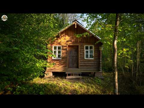 Видео: Посмотрите, как необработанные бревна превратились в потрясающий лесной дом!