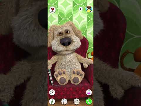 Видео: 5 октября 2025 г.