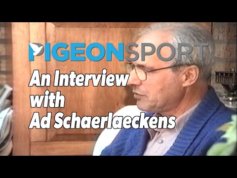 Видео: Интервью с Эдом Шерлаекенсом