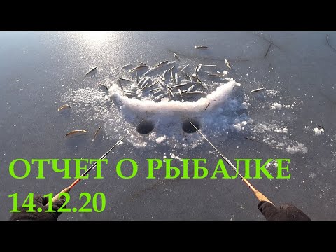 Видео: Корюшка 14.12.2020. Рыбалка, Бухта Лагерная(зеленка), о.Русский.