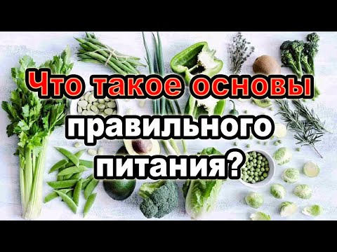 Видео: Основные правила здорового питания