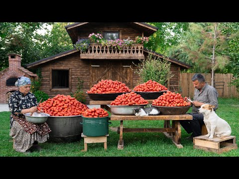 Видео: Как Мы Заготавливаем Помидоры на Зиму — Наш Простой Деревенский Способ 🍅❄️