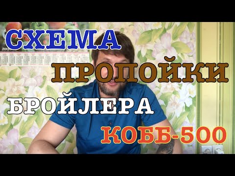 Видео: Бройлеры выращивание, пропойка и ветаптечка, бройлеры как бизнес, выращивание бройлера кобб 500
