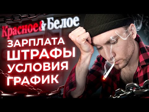 Видео: Работа в "Красное&Белое": 3 причины сказать НЕТ | Отзывы