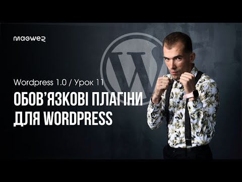 Видео: Топ 4 плагіни для вашого WordPress сайту + SEO та Google Search Console