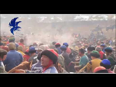 Видео: Ошто болгон улак 5 авто уна 5 тоо сорундун саны жок👍👍💥🏇