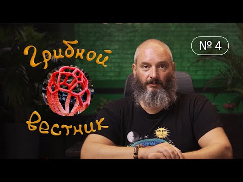 Видео: Грибной Вестник №4 | Подделки; бледная поганка - противоядие; соли тяжелых металлов; решеточник