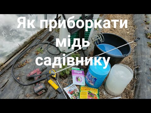 Видео: Обробка полуниці мідними препаратами. Мідний купорос, бордоська суміш, хлорокис міді, гідроксид міді