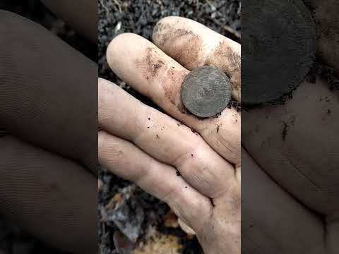 Видео: Находка сделала коп. 