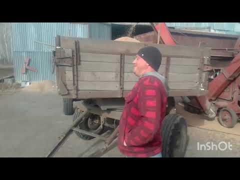 Видео: Переделанная овс 25. готовим семена. Ремонтирую сеялки. Продаем сзс 2,1.!!!