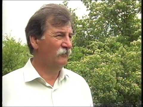 Видео: Село Беленькое, Запорожская область. Часть 2.