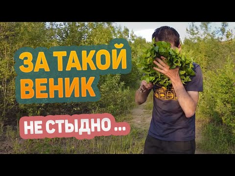 Видео: Как связать ШИКАРНЫЙ веник для бани. Мастер-класс от банщика. ОТ начала и ДО конца.