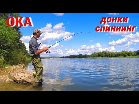 Видео: ПОШЁЛ на ЛЕЩА, а ПОЙМАЛ ДРУГУЮ РЫБУ. НОВАЯ УДОЧКА. Рыбалка на ОКЕ в июле.