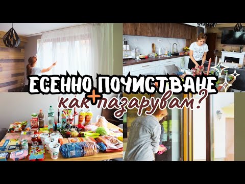 Видео: ЕСЕННО ПОЧИСТВАНЕ ✨+ ОРГАНИЗАЦИЯ НА ПАЗАРA ЗА СЕДМИЦАТА 📝 | ДНЕВЕН ВЛОГ