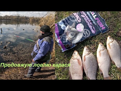 Видео: Продовжою ловлю карася, з новою прикормкою
