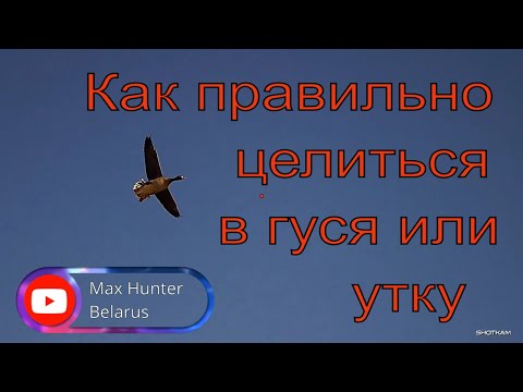 Видео: №118 Как целиться в летящего гуся и утку / Новые супервидео Shotkam / Охота на гуся 2022