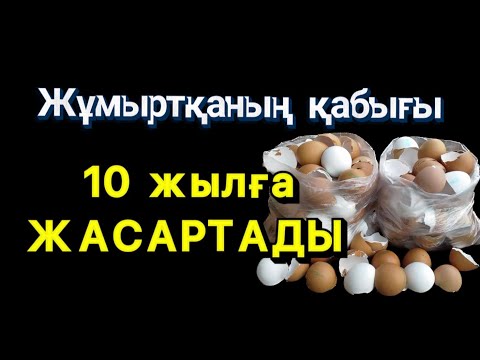 Видео: Жұмыртқаның қабығы 10 жылға жасартады.Жұмыртқадан бетке маска жасау.Халық емі