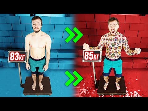 Видео: ИЗМЕНИТСЯ ЛИ ВЕС, ЕСЛИ НАНЕСТИ 1000 ТАТУИРОВОК?