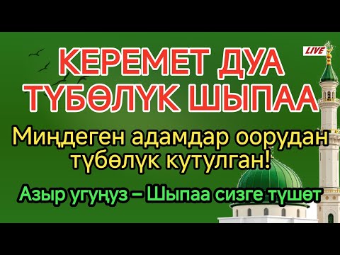 Видео: МИҢДЕГЕН АДАМ ТҮБӨЛҮК АЙЫГЫШТЫ!Пайгамбардын дубасы оору жок кылды!