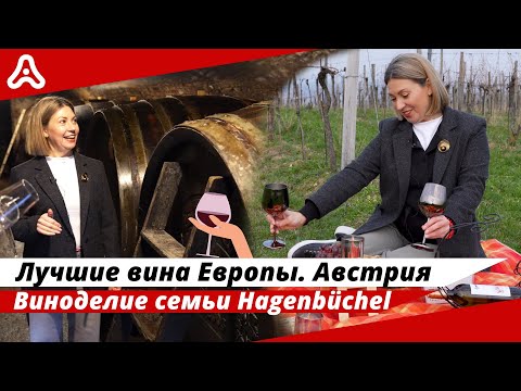 Видео: Мировые стандарты австрийского вина. Экскурсия по винодельне 🇦🇹🍷#Австрия #Вена #Вино