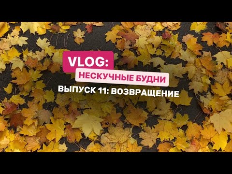 Видео: VLOG: НЕСКУЧНЫЕ БУДНИ. Выпуск 11 «Возвращение»