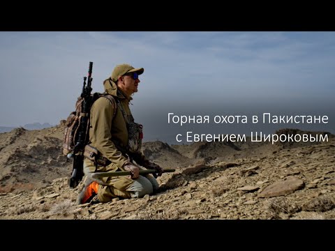 Видео: Горная охота в Пакистане с Евгением Широковым. Афганский уриал и Сулейманский мархур.