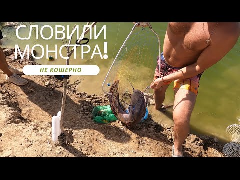 Видео: Рыбалка Израиль 2023. Секретное озеро в пустыне. Сом на 7.4 кг