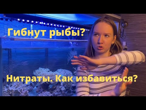 Видео: Нитраты. Основная причина массовых вымираний рыб.
