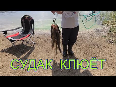 Видео: СУДАК  ВОЛЧИХА ТРОЛЛИНГ  26-27.ИЮНЯ 2021г.