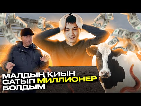 Видео: Шылаушан, Биогумус Сатып Жылына 75,000,000 ₸ Пайда табу/кәсіпкер құпиясы