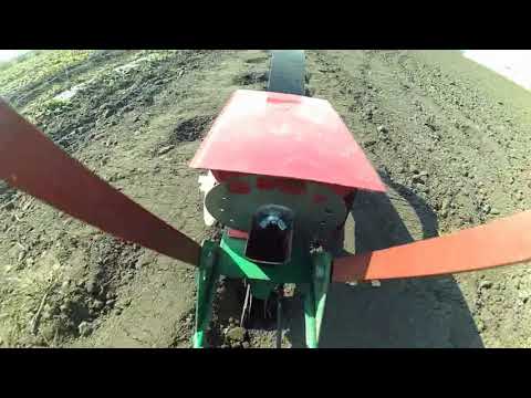 Видео: Посів моркви і буряка