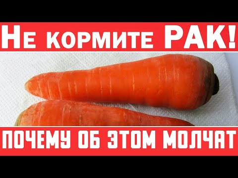 Видео: Не кормите РАК! Онкологи знают, что творит морковь. (должен знать каждый)