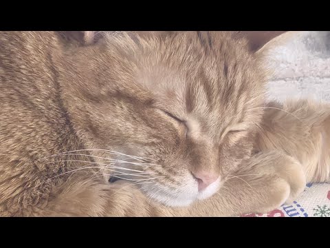 Видео: Косметичка сентября!!!