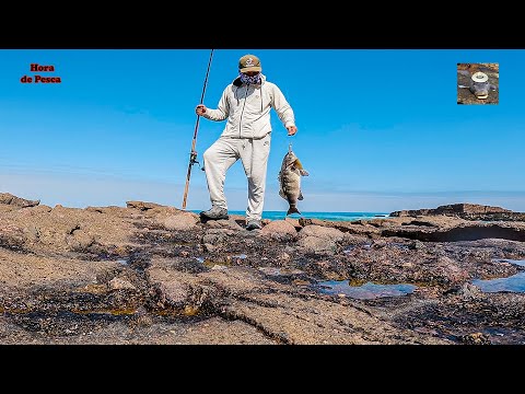 Видео: Корвины, камбалы и козочки зимой. || Рыбалка на козлака зимой.