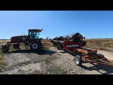 Видео: Качество важнее количества: сезон валкования подходит к концу.