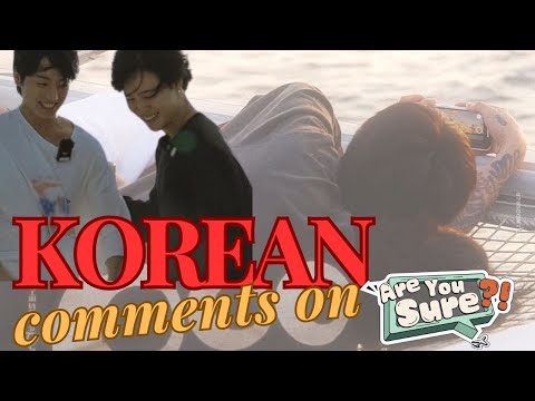 Видео: Корейские комментарии к "Are You Sure"