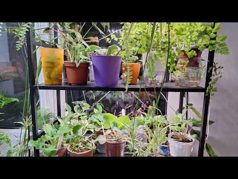 Видео: Обзор коллекции. Часть 1.