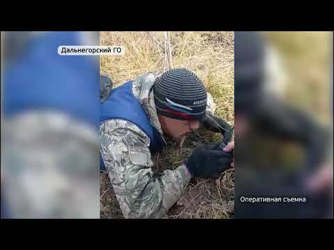 Видео: В Спасском районе задержали черных лесорубов