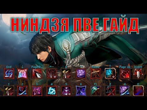 Видео: Black Desert НИНДЗЯ наследие пве гайд новичку