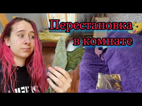 Видео: Рум Тур по моей отдельной комнате. Перестановка сразу после приезда. Авокадо сбросил листья