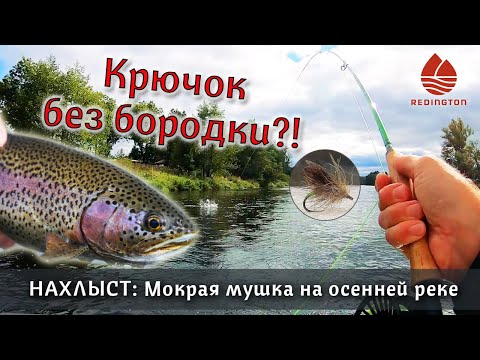 Видео: НАХЛЫСТ: мокрая мушка и безбородый крючок. Злобная радужная форель вырывает удочку из рук!