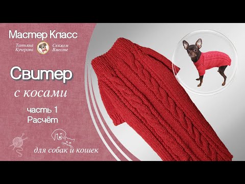 Видео: Свитер с косами спицами, часть 1, Расчет, Dog sweater