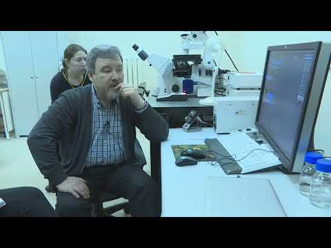 Видео: Мастер класс «Построение изображения на конфокальном микроскопе ZEISS  FRET эксперимент», часть 2