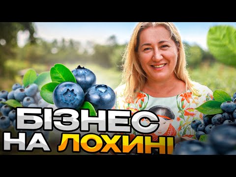 Видео: Бізнес на ЛОХИНІ: сімейна справа Ягідний Край на ЛЬВІВЩИНІ | Харизма UA