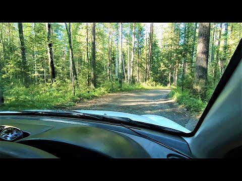Видео: НА УРАЛ ЗА ЗОЛОТОМ !!!