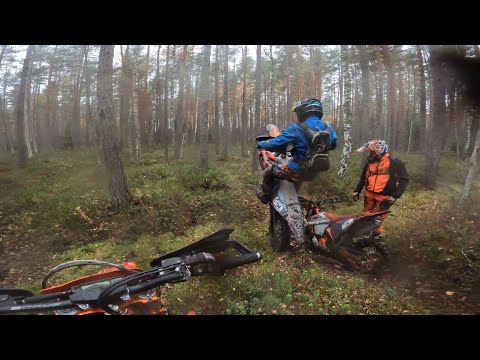 Видео: КТО РАЗБЕРЁТ И СОБЕРЁТ КТМ В ЛЕСУ  | ТОНЕМ В ТОРФЯННИКЕ